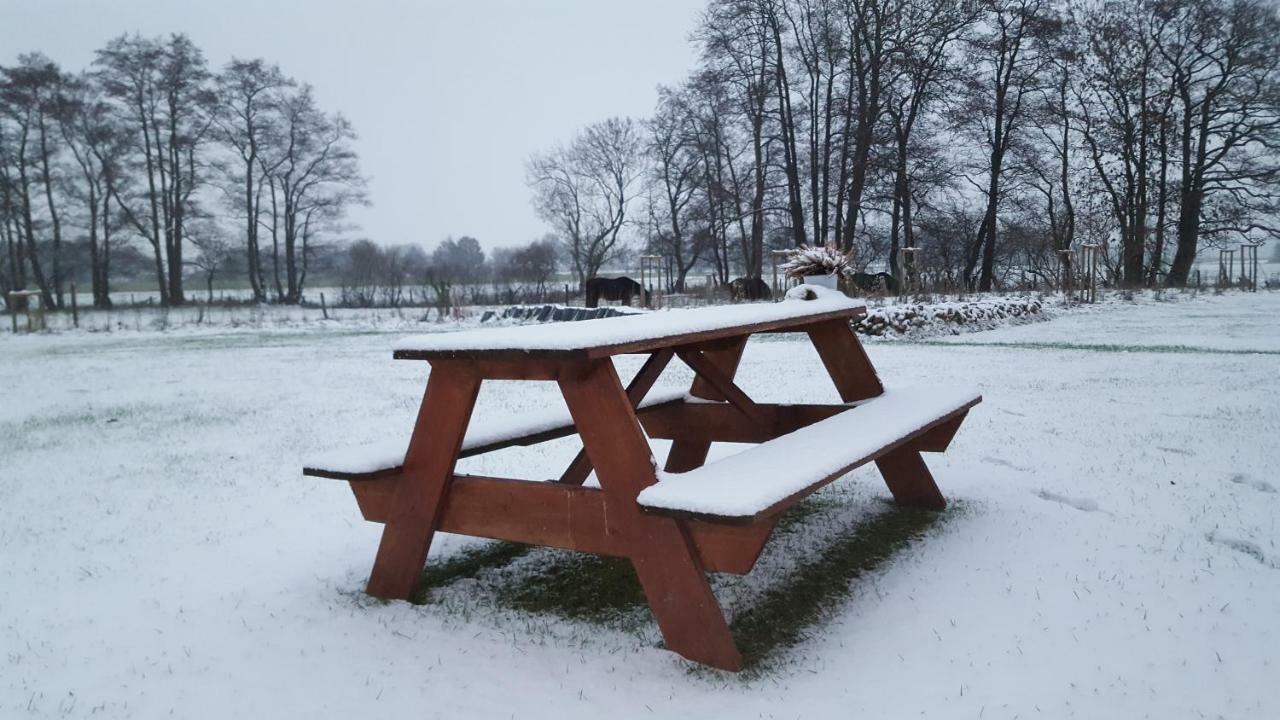 Emsdune Oberlangen Extérieur photo